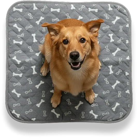 PeePad | Save Your Floor & Your Wallet